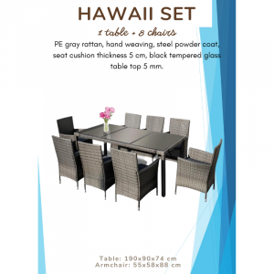 Rattan Hawaii Set With Glass Table